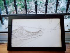 -COTTON CAFE(德信·中外公寓店)