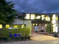 -蘑统田下·野生菌火锅