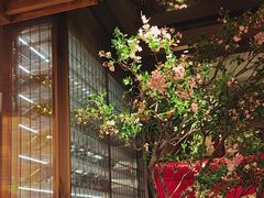 -星·South Beauty·俏江南(国贸店)