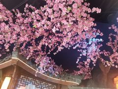 -荷塘秋月·本帮江浙菜(国权路店)