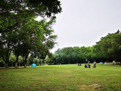 -东莞植物园