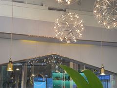 -探窝·竹笙椰子鸡(杨箕店)