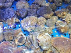 -前王院•巧克力海鲜市集餐厅(万平口店)