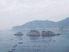-枸杞岛