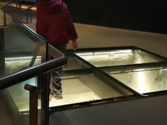 -元代水闸遗址博物馆
