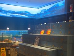 -海立阁海鲜江浙菜(漕河泾印象城店)
