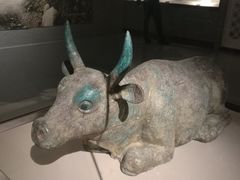 -宁夏博物馆