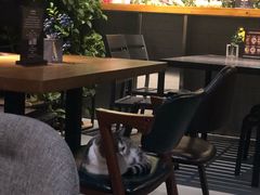 -IFIF 如果花園(宽厚里店)