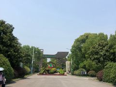 -溱湖国家湿地公园