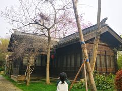 -尚贤河湿地