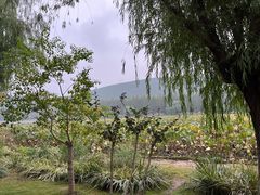 -云龙湖旅游景区