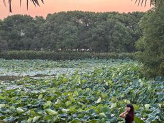 -艾溪湖湿地公园