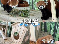 -哈尔滨极地公园