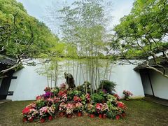 -上海醉白池公园
