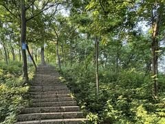 -南京老山国家森林公园