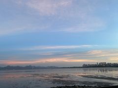 -深圳湾公园(南山区)