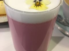 -Nectar One Cafe(勇烈路n1店)