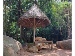 -广州长隆野生动物世界