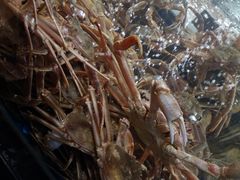 -徐记海鲜(大明宫|北二环店)
