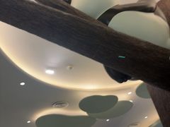 -眉州东坡·熊猫主题餐厅(枫蓝店)