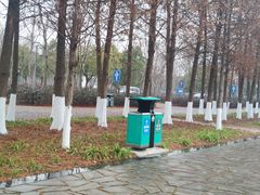 -上海浦江郊野公园·1号停车场