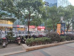 -佬肥猫(七宝宝龙店)