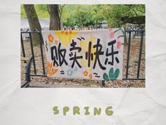 -上海共青森林公园