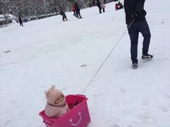 -镇江市南山风景名胜区竹林景区