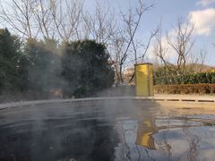 -大连金石滩绿发温泉假日酒店