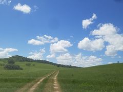 -御道口草原森林风景区
