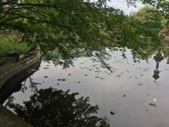 -嘉定紫藤园