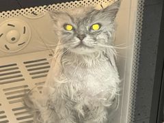 -FAELING PETS美天灵宠物(富力广场店)