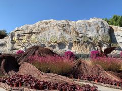 -北京西山国家森林公园