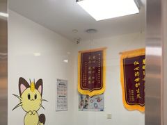 -特一安24小时宠物医院·骨科·中兽医