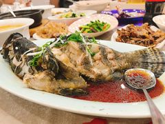 -良友·海鲜青岛菜(五四广场店)