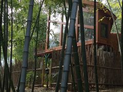 -陶祖圣境风景区