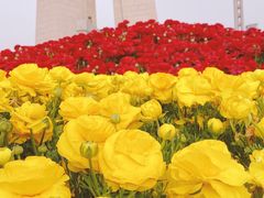 -上海市外滩历史纪念馆