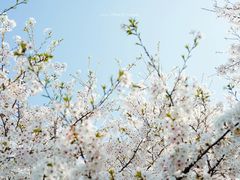 -龙美术馆(西岸馆)