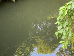 -北寺塔
