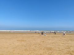 -日照海滨国家森林公园