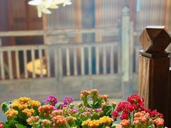 -叶叶菩提(太原别墅店)