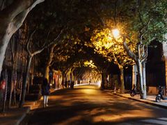 景观位-小团圆糖水铺(襄阳南路店)