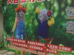 -大自然农场蔬菜草莓采摘园