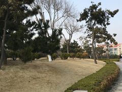 -燕儿岛山公园