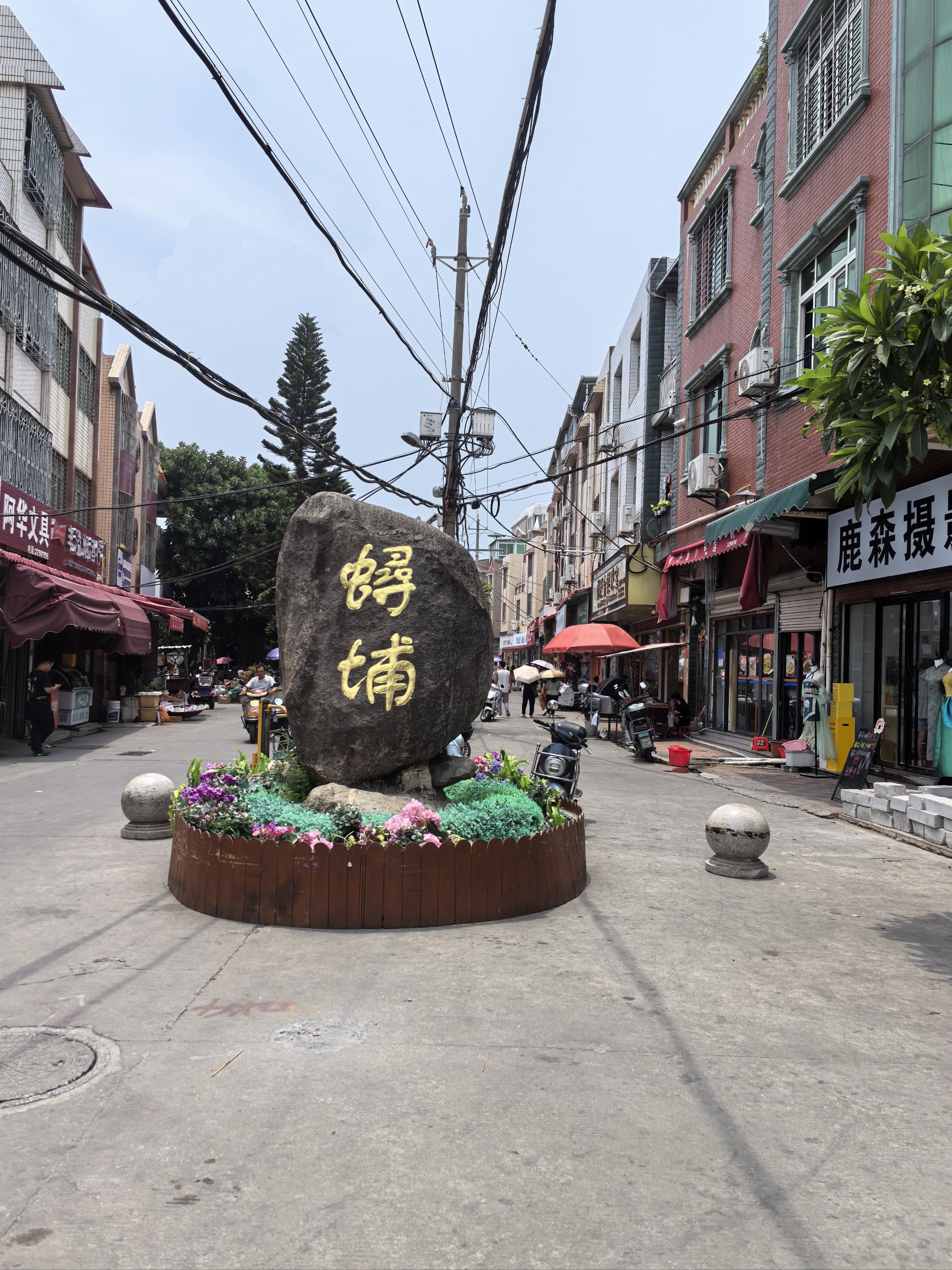 浔埔村的研学旅行图片