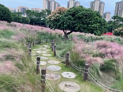 -红花山公园