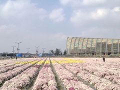-中国天府农业博览园