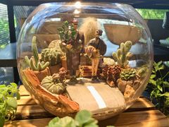 -自由生长植物工作室(深港花卉中心店)