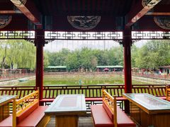 -尚庄度假村·庭台树下·户外烧烤·团建CS·轰趴营地(上庄水库店)