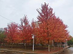 -辽宁大学(崇山校区)